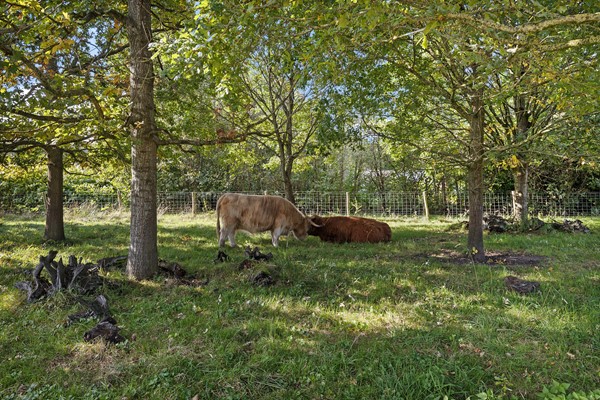 Taco Haringastraat 18 Schildwolde-47.jpg